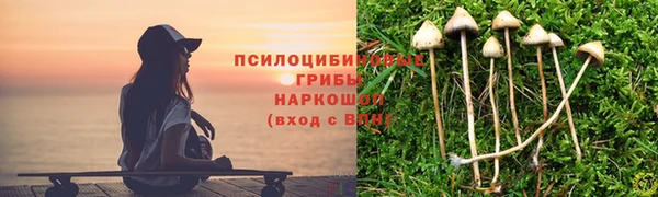 гашик Красноперекопск