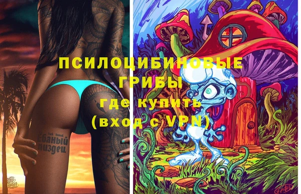 меф VHQ Козловка