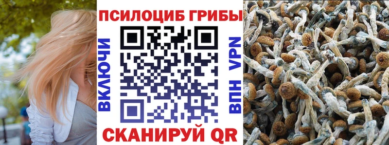 Псилоцибиновые грибы Psilocybine cubensis  Красноперекопск 